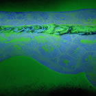 Penetrant